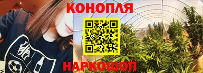 СК Новокубанск