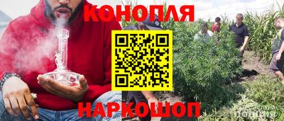 mix Новозыбков