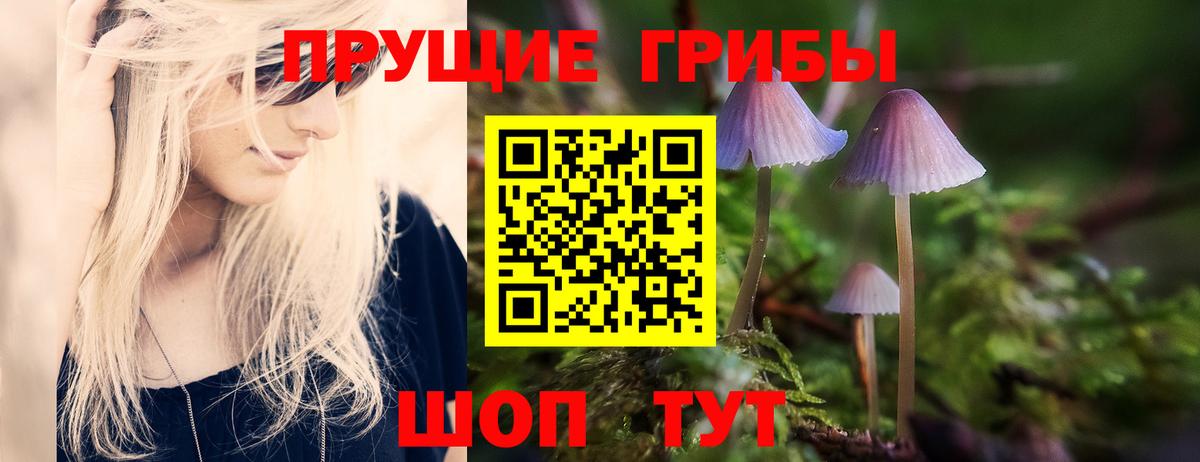 Галлюциногенные грибы GOLDEN TEACHER Ульяновск